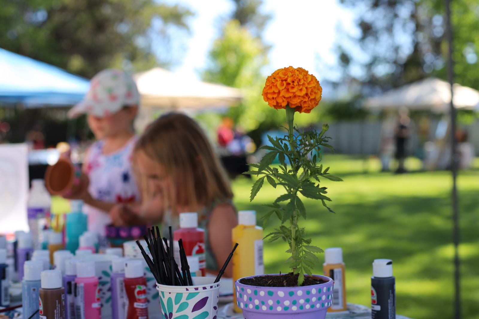 Children painting flower pots at an outdoor community event, with a potted marigold in the foreground
